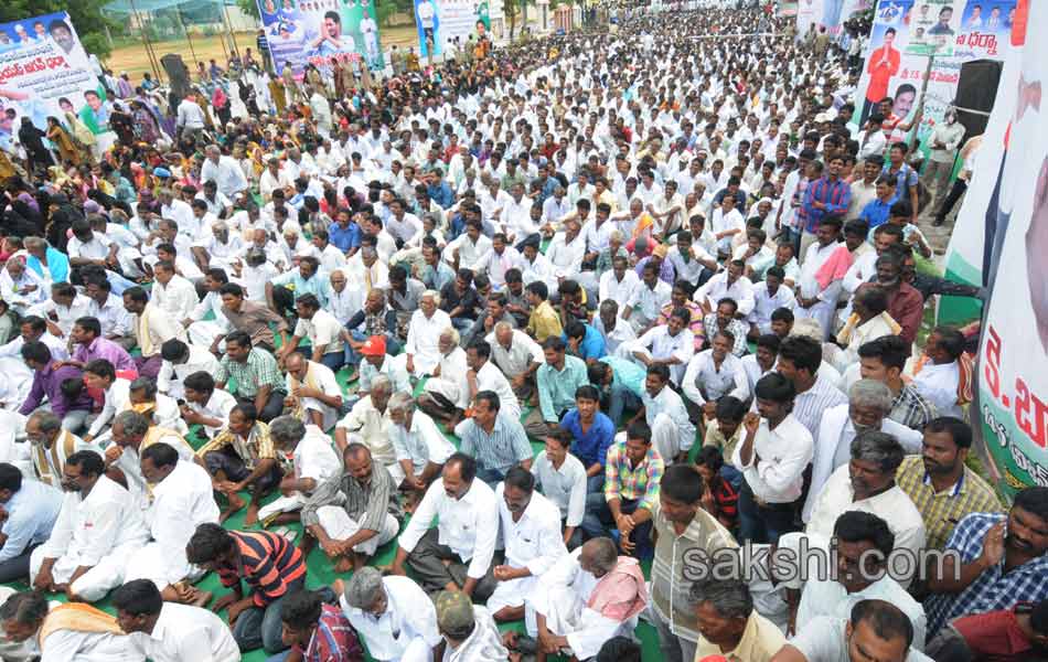 YS Jagan mohan reddy raithu maha dharna in YSR - Sakshi19