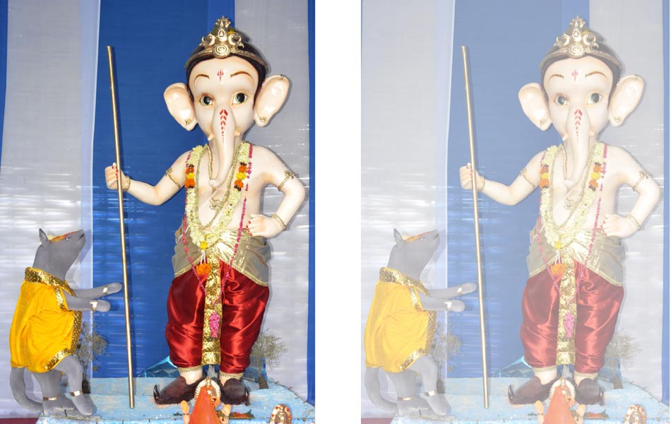 different ganesh - Sakshi13