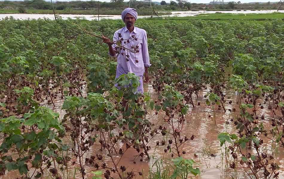 Rain fall remains tears - Sakshi10