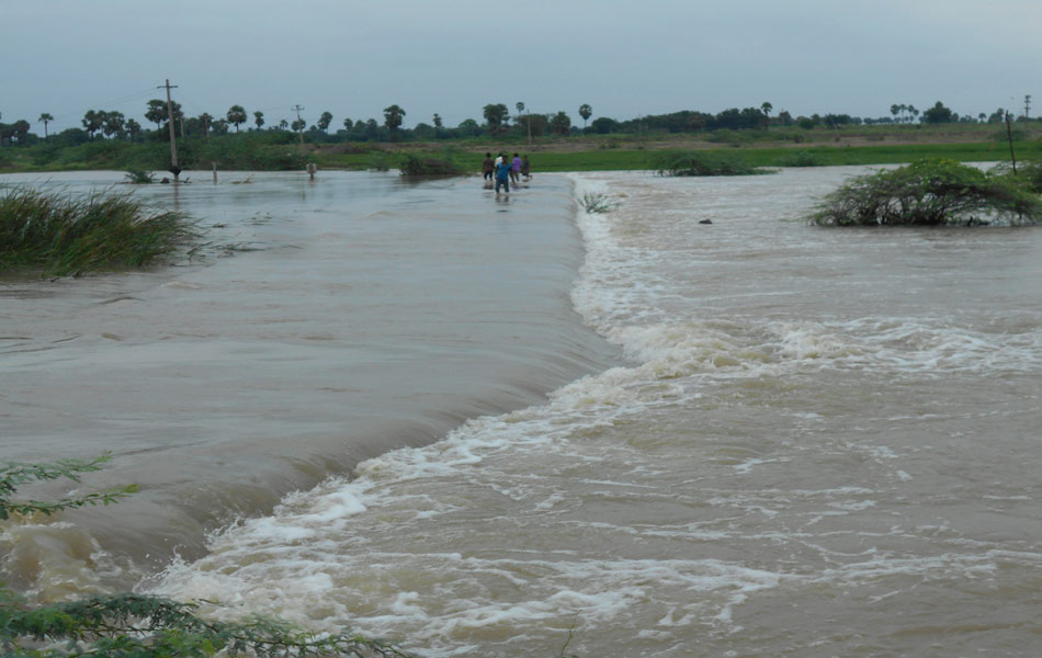 heavy rain in nalgonda - Sakshi5