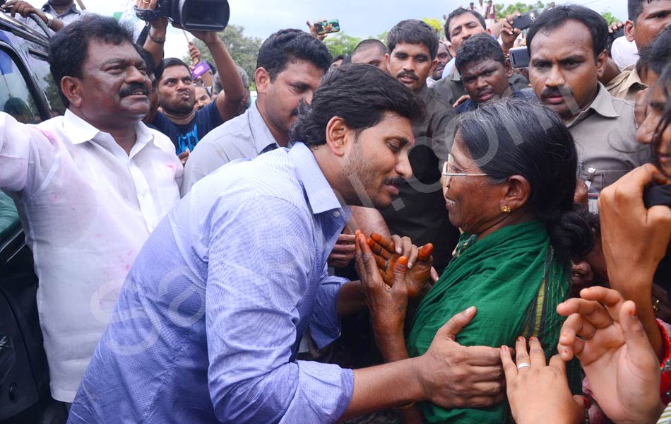 YS Jagan Tour in Guntur District Floods Area - Sakshi3