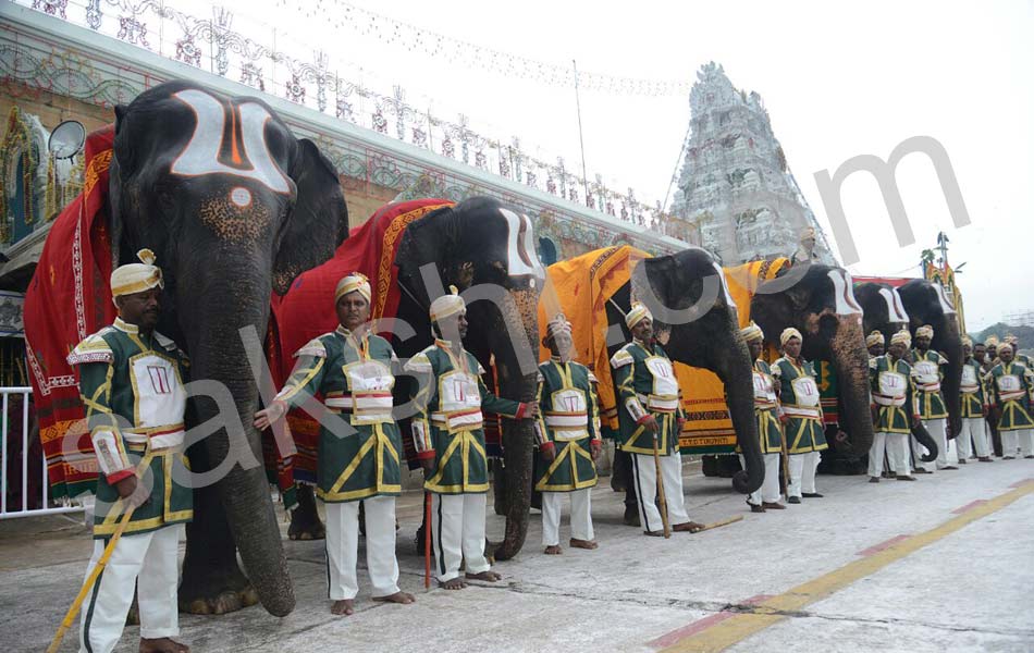 China Shesha Vahana Seva in Tirupati10