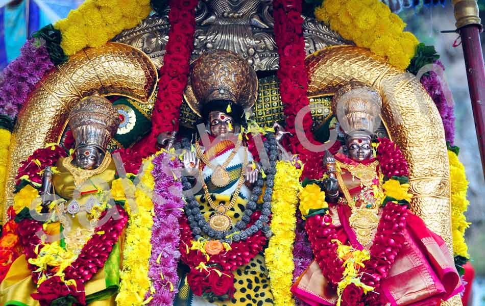 Teppotsavam completed in krishna river14