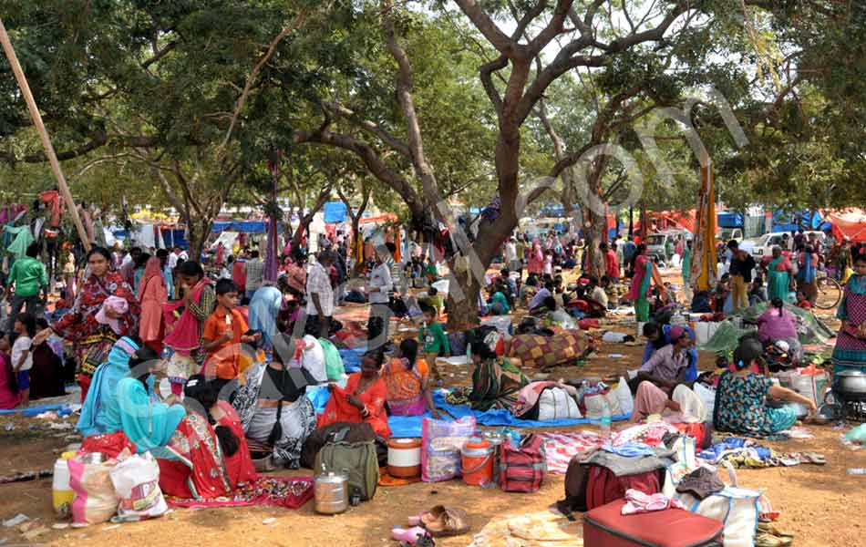 huge crowds to rottela panduga festival16