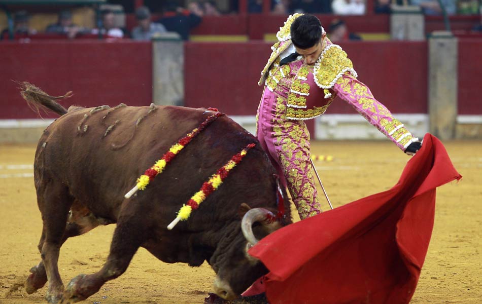 Bull fight festival in spain - Sakshi2