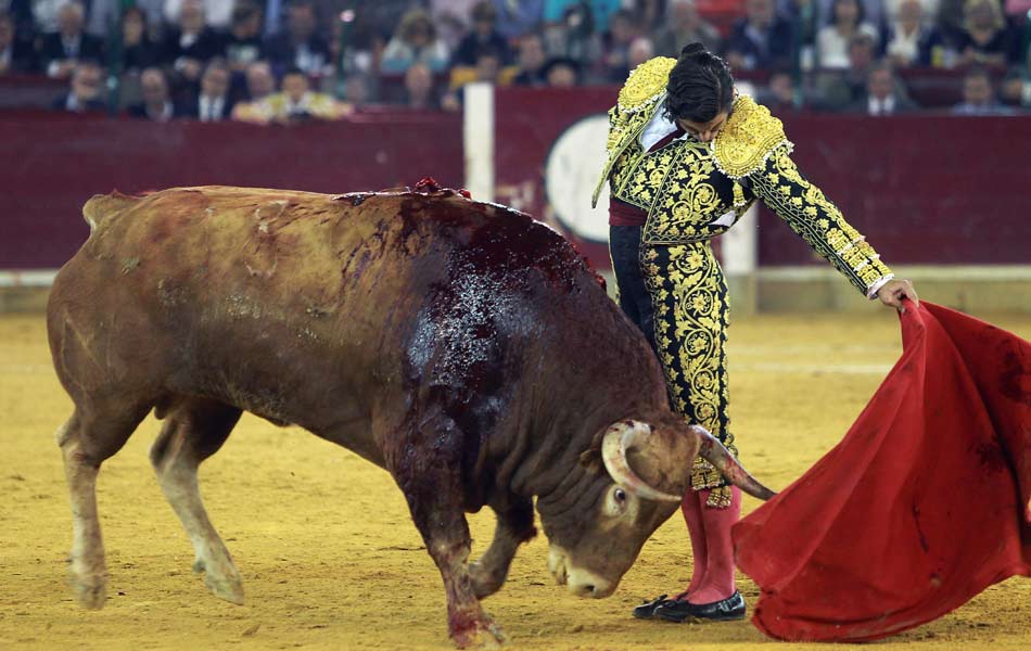 Bull fight festival in spain - Sakshi8