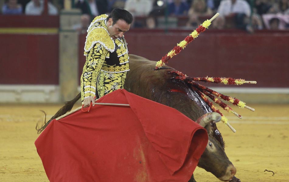 Bull fight festival in spain - Sakshi11