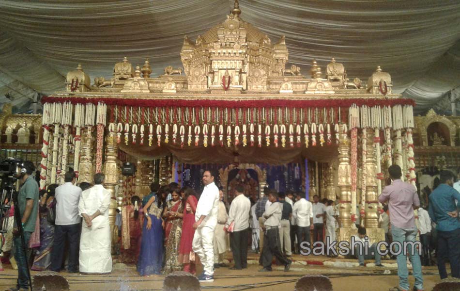 ali Janardhan Reddy daughter Brahmani wedding10