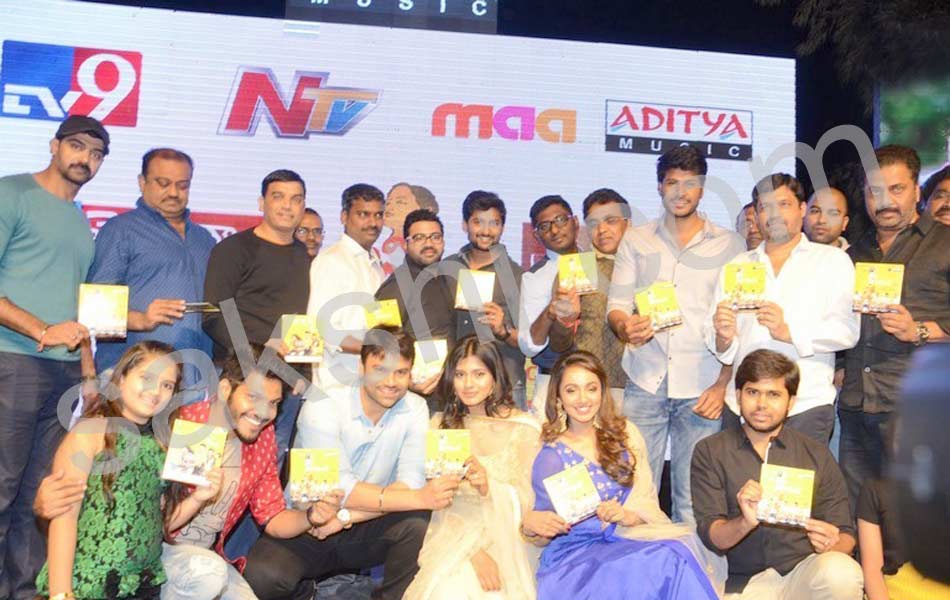 Nanna Nenu Na Boyfriends audio launch2