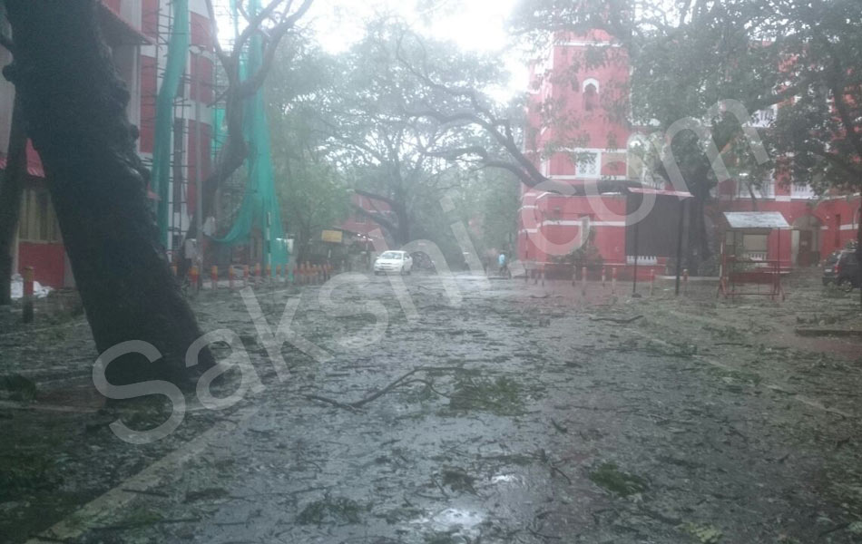 tamil nadu vardah cyclone18