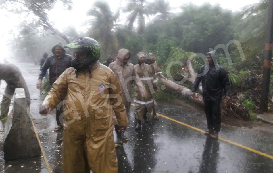 tamil nadu vardah cyclone12