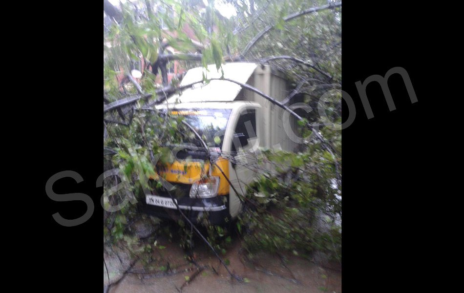 tamil nadu vardah cyclone13