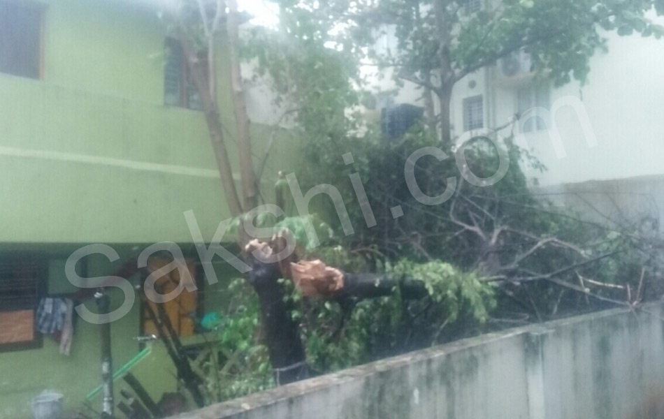 tamil nadu vardah cyclone20