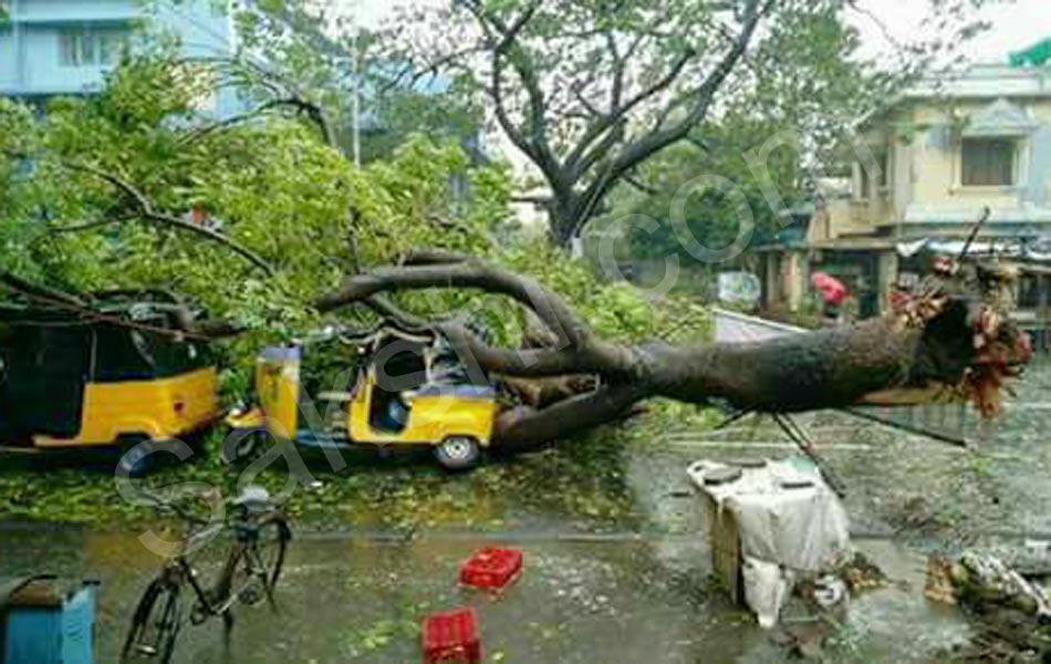 tamil nadu vardah cyclone26