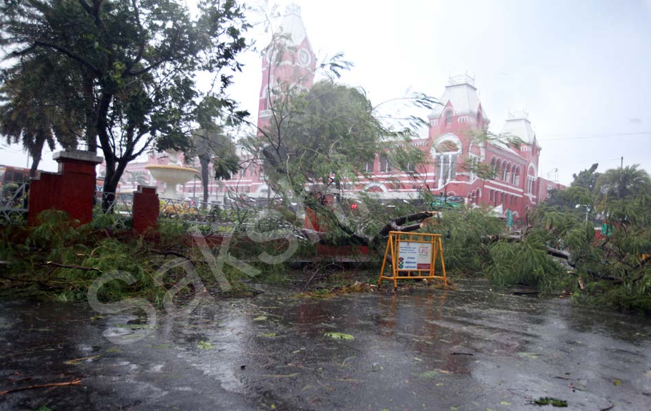 tamil nadu vardah cyclone30