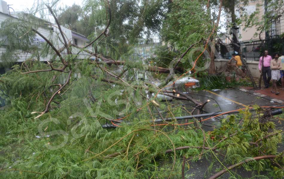 tamil nadu vardah cyclone31