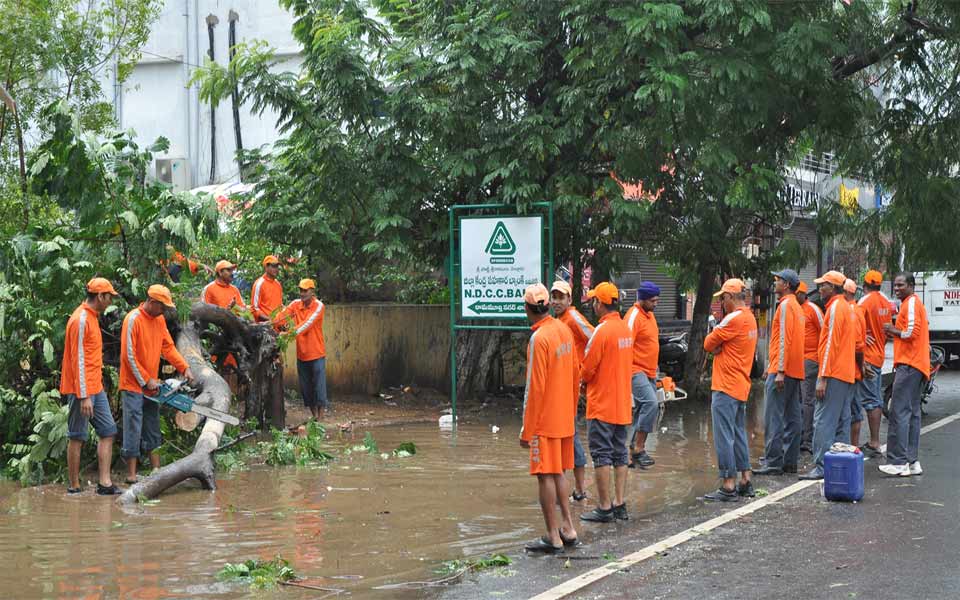 Vardah creates havoc - Sakshi11