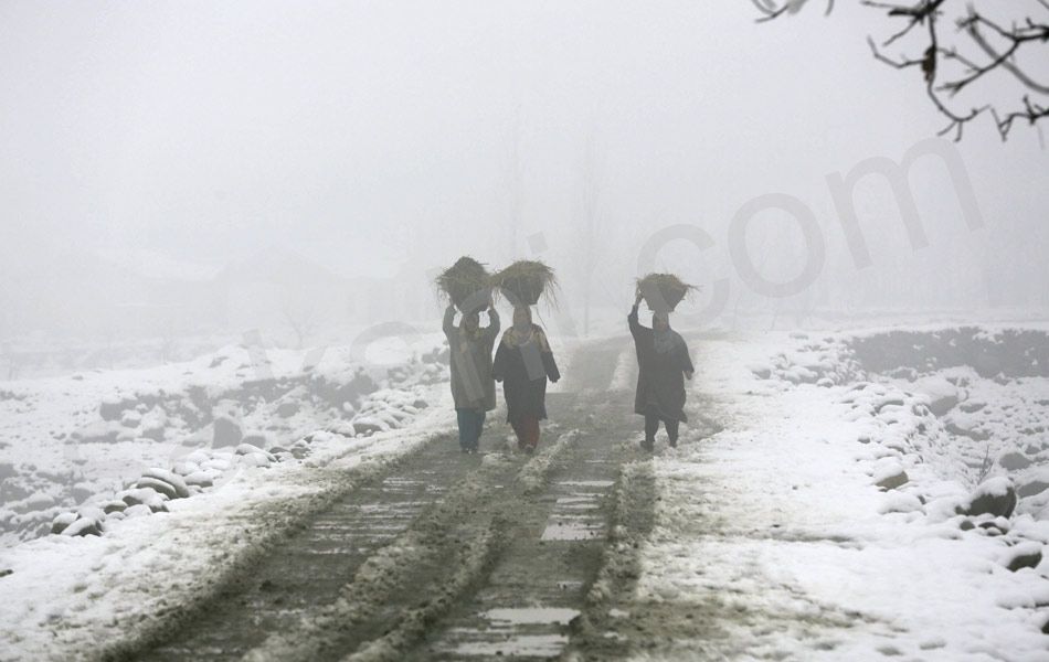 snowfall at North India attracts tourists30