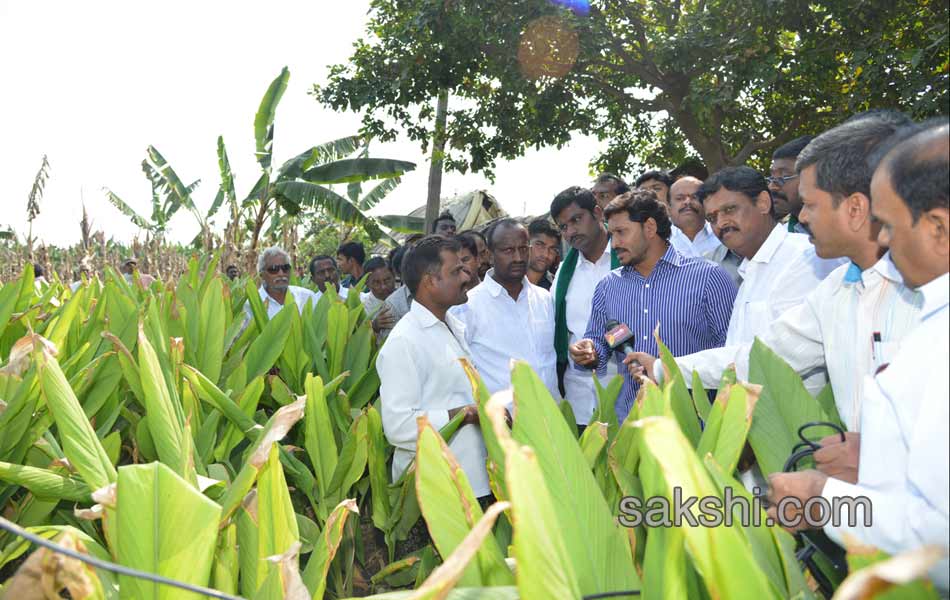 sixth day raithu bharosa yatra - Sakshi19