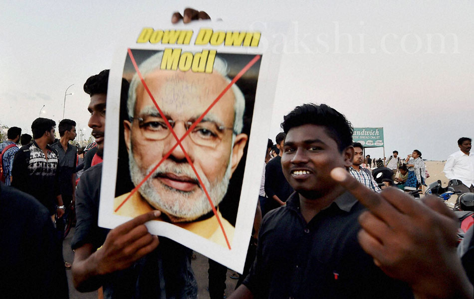 jallikattu in tamil nadu3