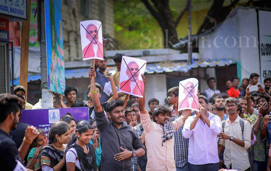 jallikattu in tamil nadu18