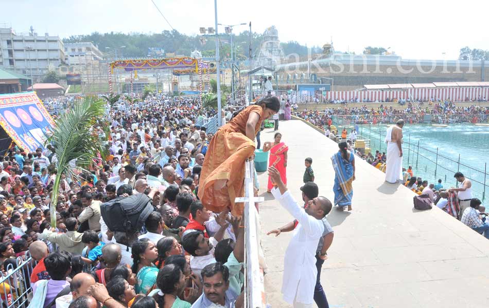 rathasapthami in tirumala29