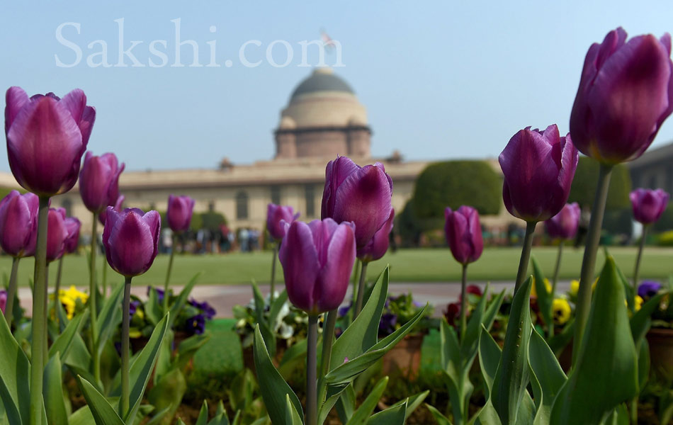 Mughal Gardens at Rashtrapati Bhavan8