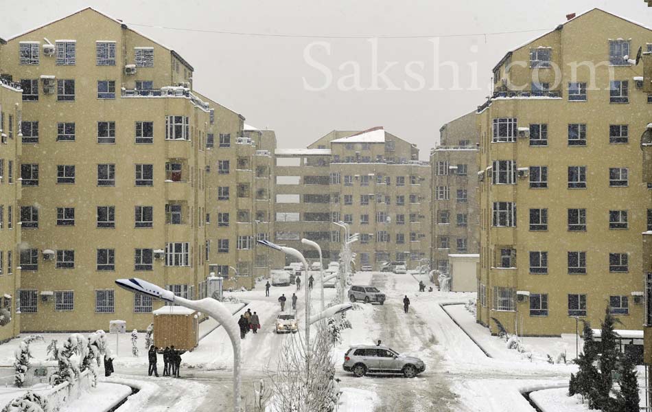 snow laden trees in Kabul3