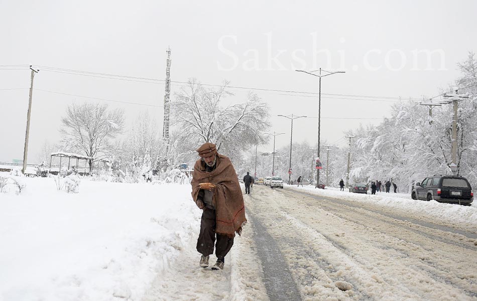 snow laden trees in Kabul11