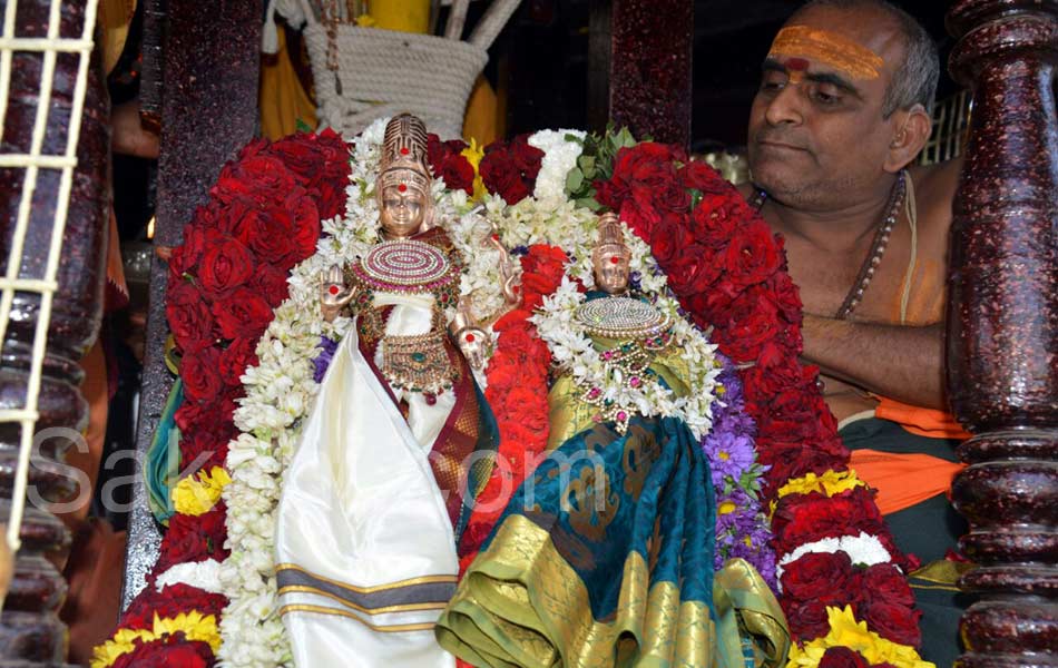 srisailam in mahas shivaratri - Sakshi1