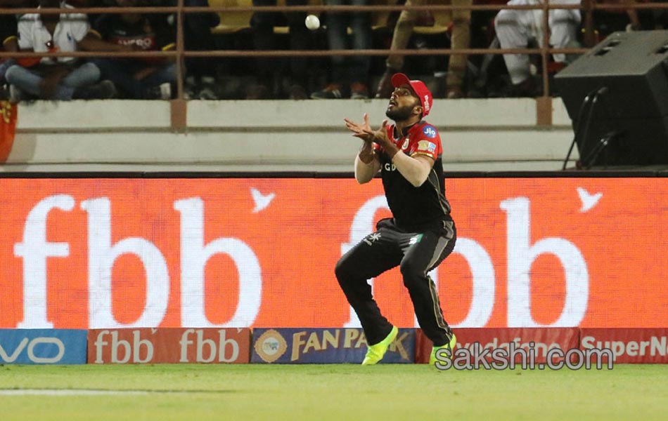 RCB celebrates after win the match during match - Sakshi14