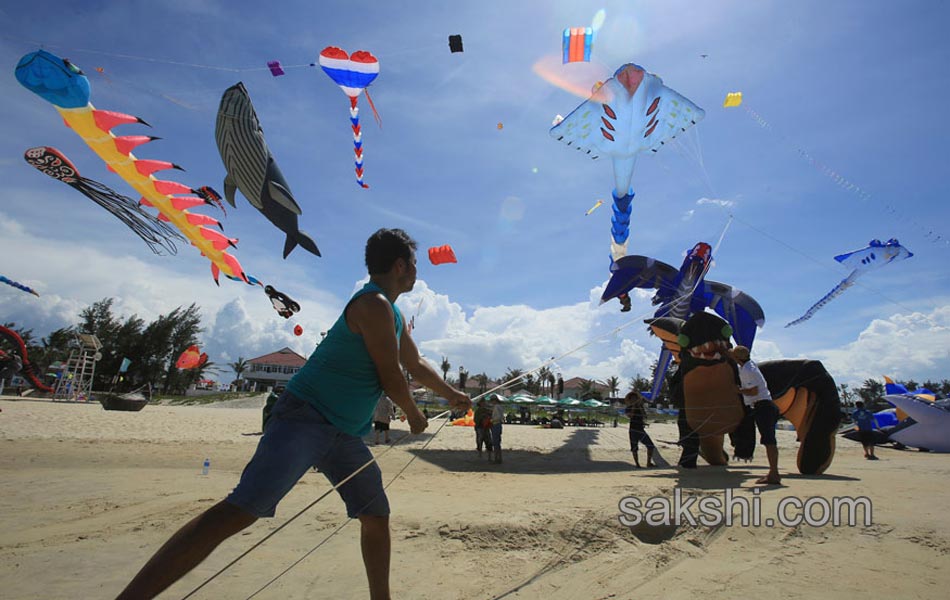 International Kite Festival in Vietnams Quang Nam province6