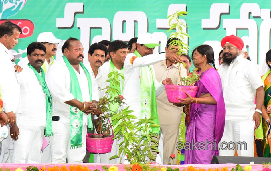 Haritha Haram - Sakshi16