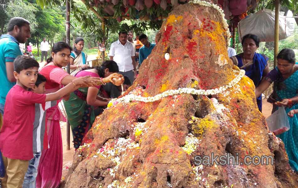 nagula chavithi29