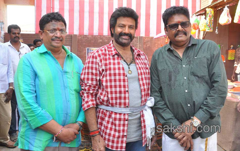 bala krishna new movie opening14