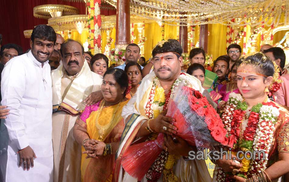 speaker madhusudhana chary son marriage17