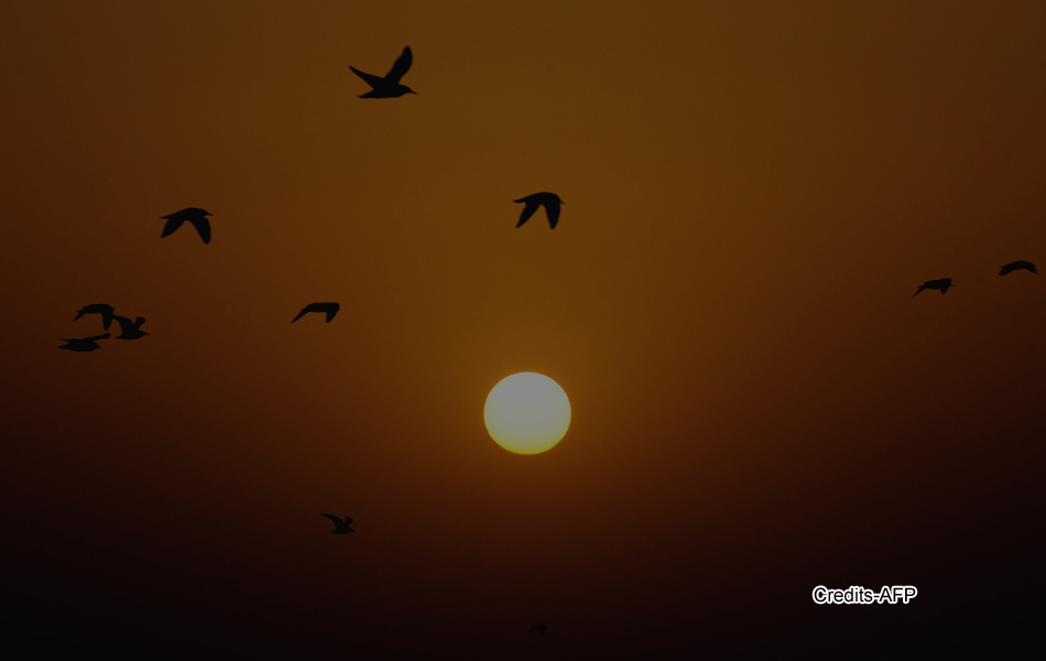 The sun sets ending the year as seen - Sakshi14