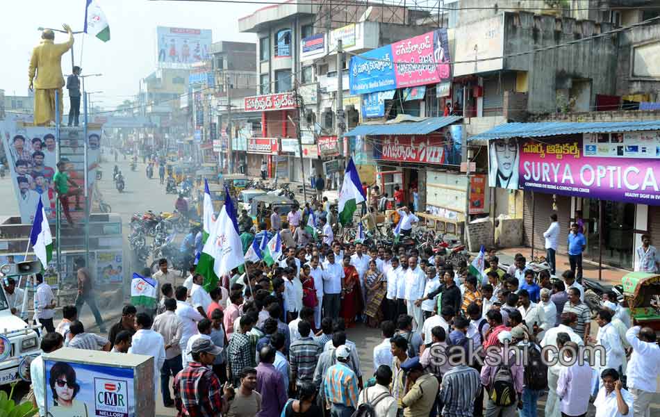 bandh in seemandhra today Phots - Sakshi19