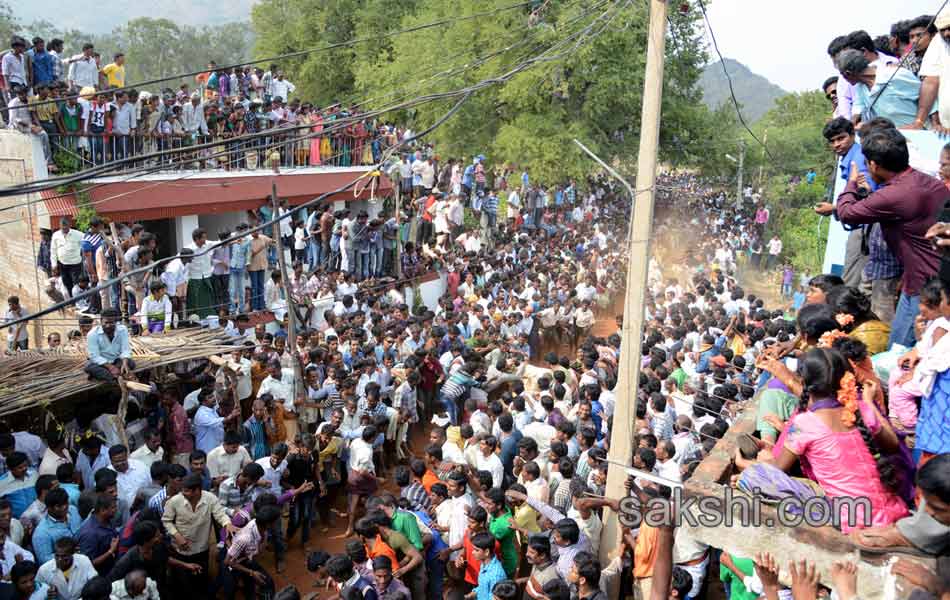 2014 Alanganallur Jallikattu - Sakshi14