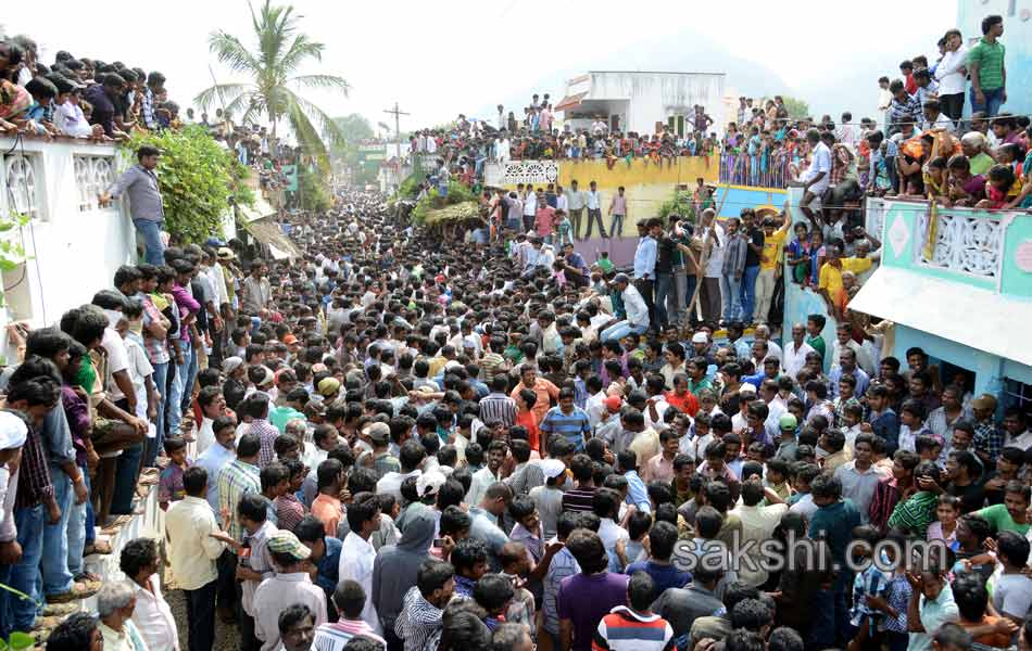 2014 Alanganallur Jallikattu - Sakshi17