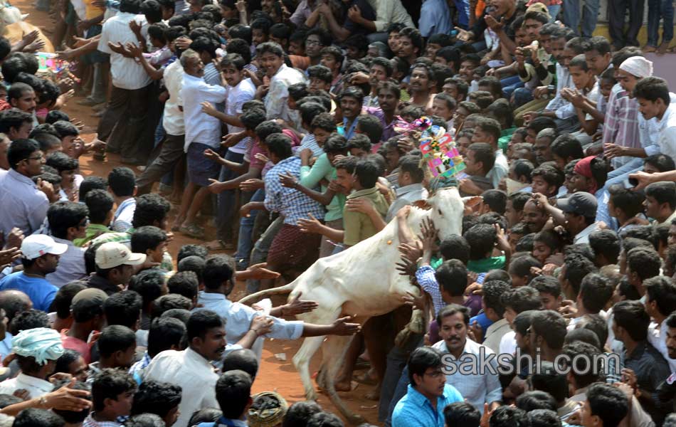 2014 Alanganallur Jallikattu - Sakshi26