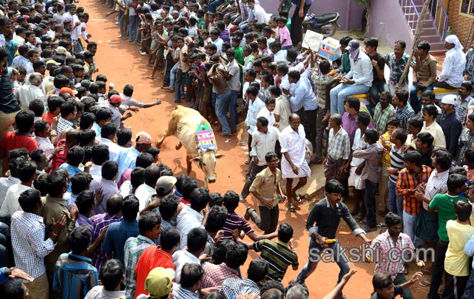 2014 Alanganallur Jallikattu - Sakshi39