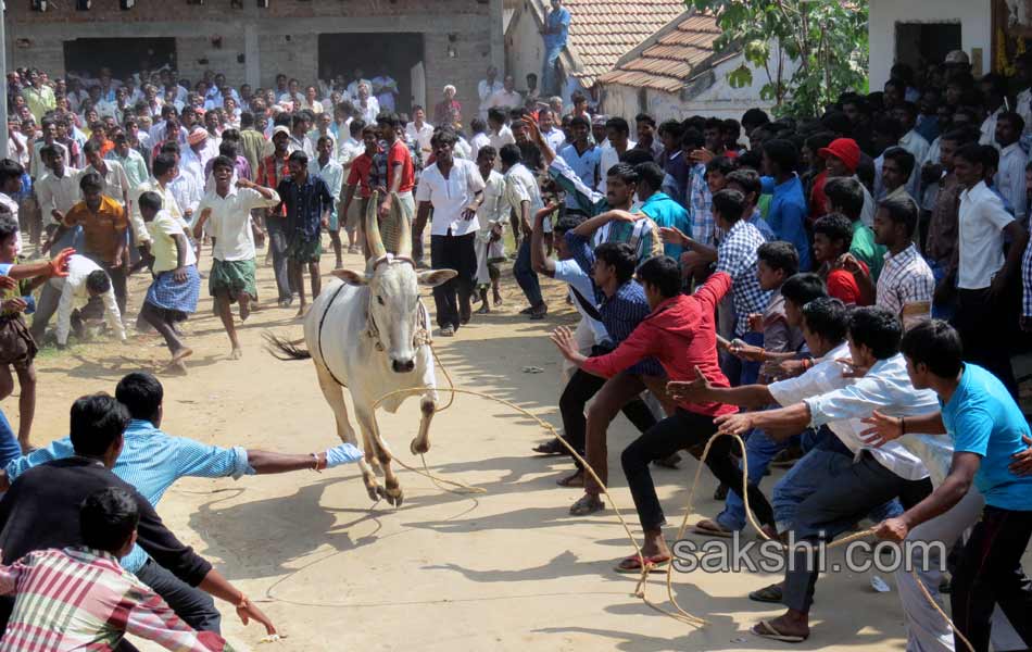 2014 Alanganallur Jallikattu - Sakshi62