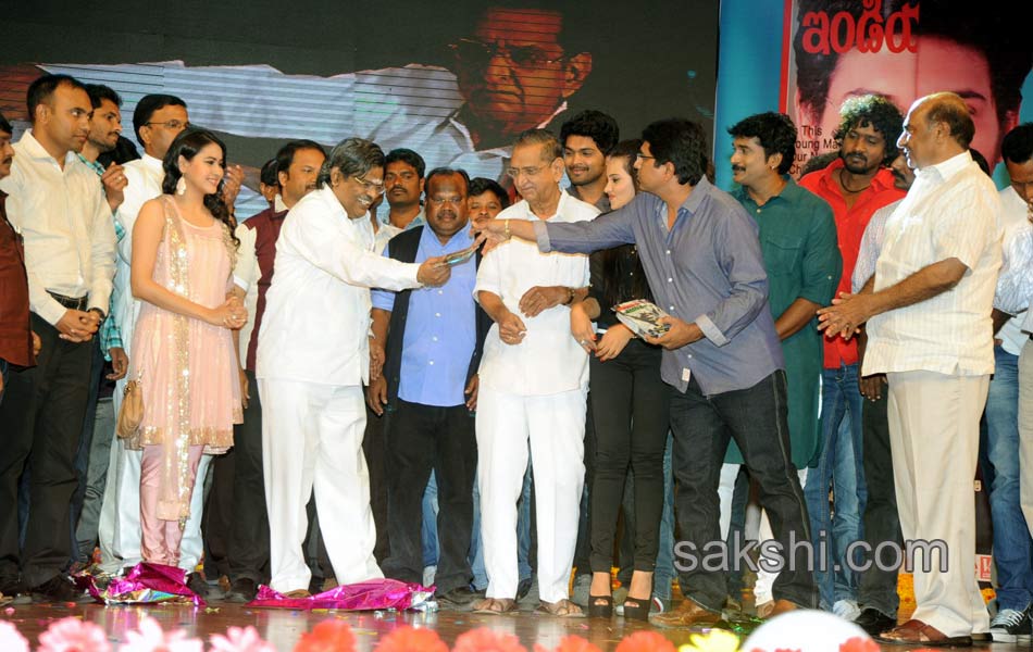 Prabhanjanam Audio Function - Sakshi22