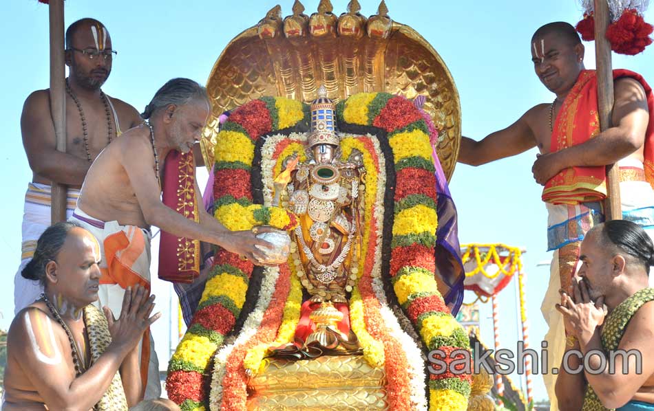 tirumala rathasapthami - Sakshi4