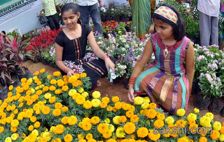 plants mela in nizam collage4