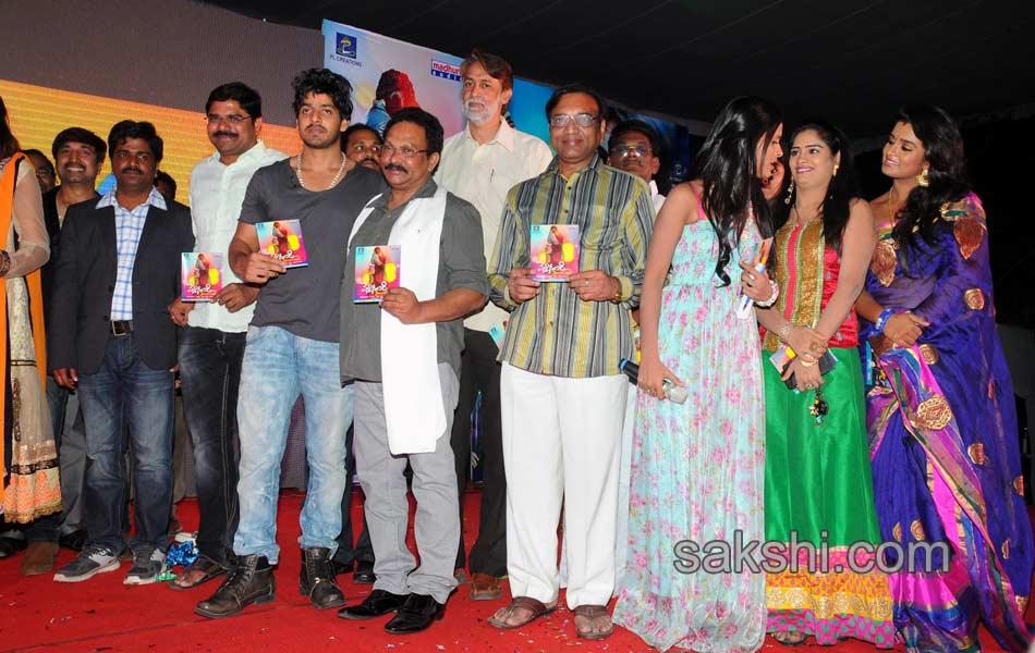 Pellandandi Preminchaka Matrame movie audio launch - Sakshi29