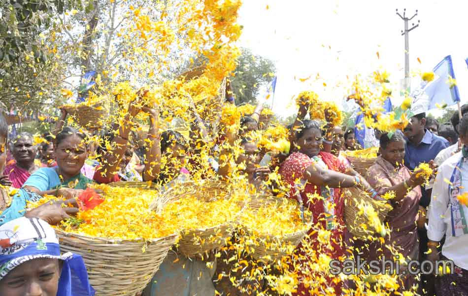 Sharmila s Janpatham at guntur District - Sakshi1