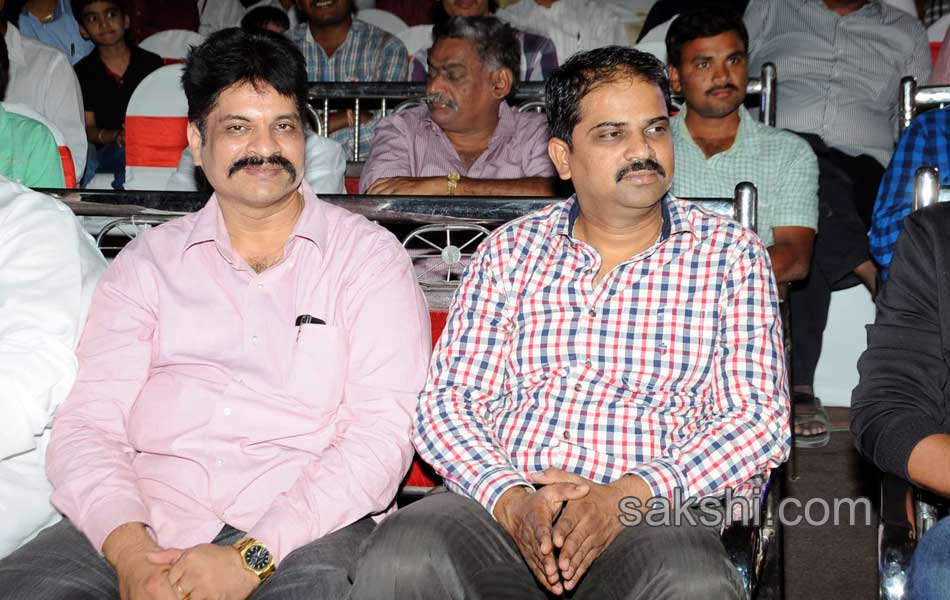 Chirunavvula Chirujallu Movie Audio Launch - Sakshi14