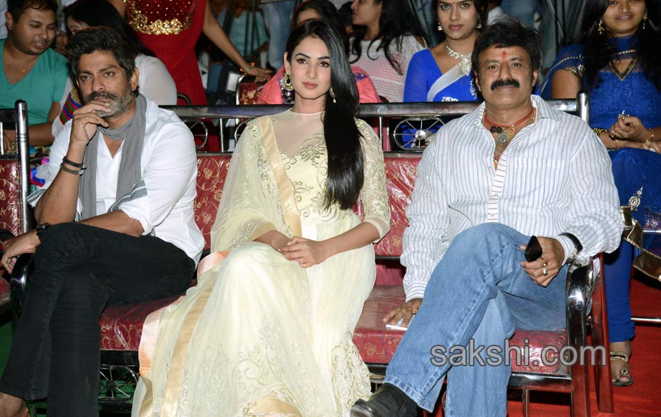 Legend movie success meet - Sakshi5